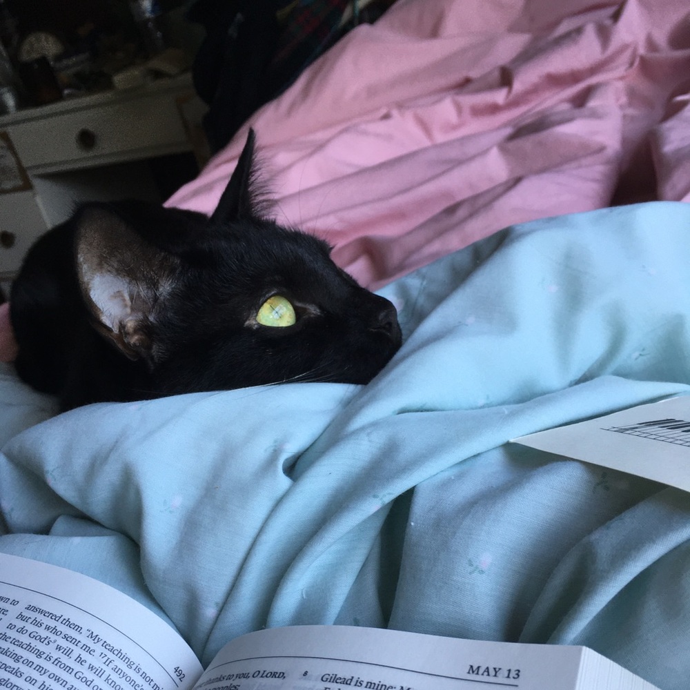 Meet your Posher, Olivia